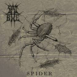 Spit Bile : Spider